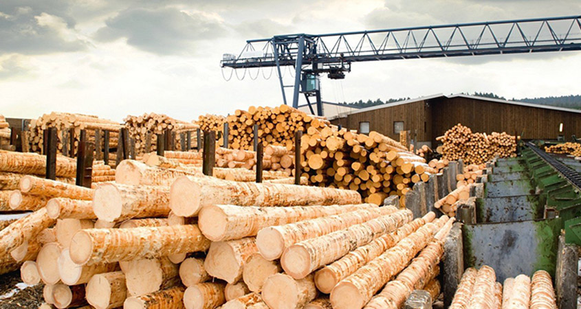 Filière Bois : pourquoi la France exporte autant… au détriment du Bâtiment ?