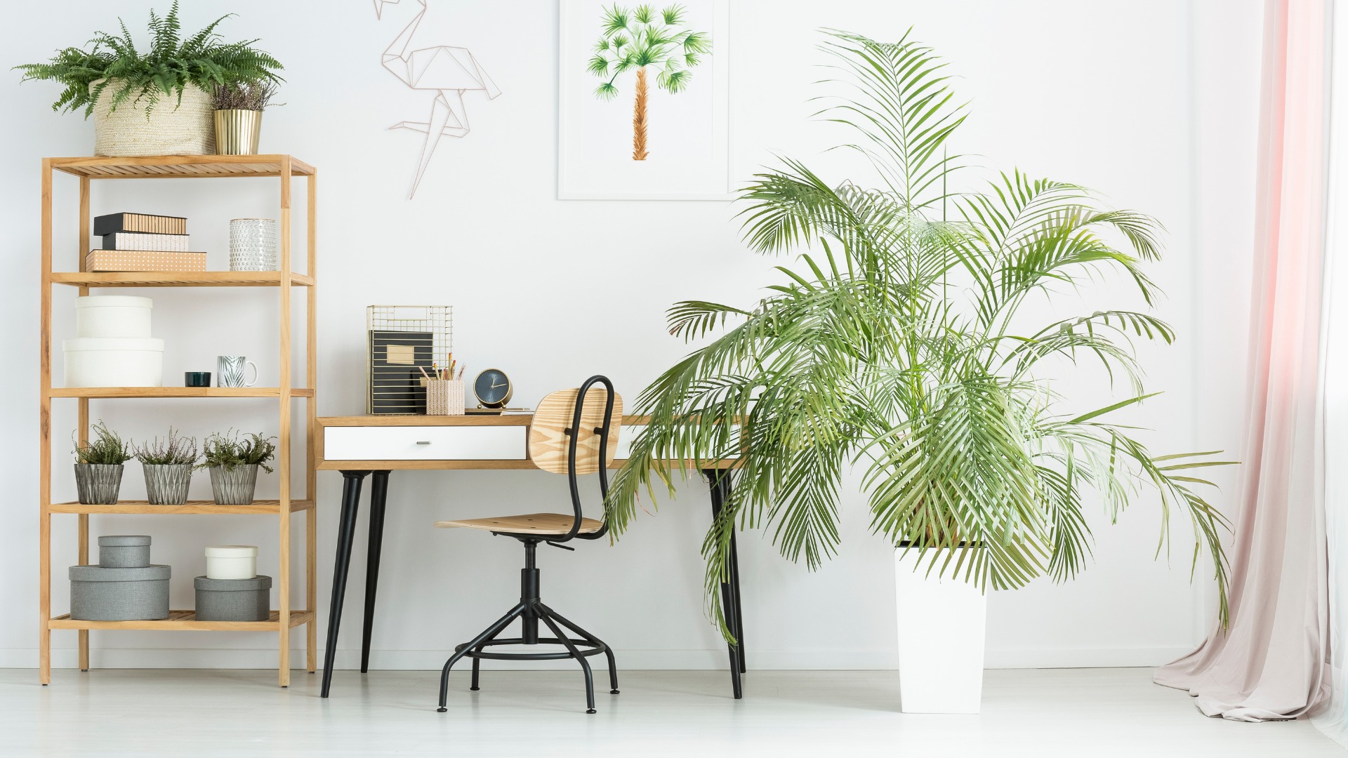 Quelles plantes utiliser pour dépolluer votre bureau ?