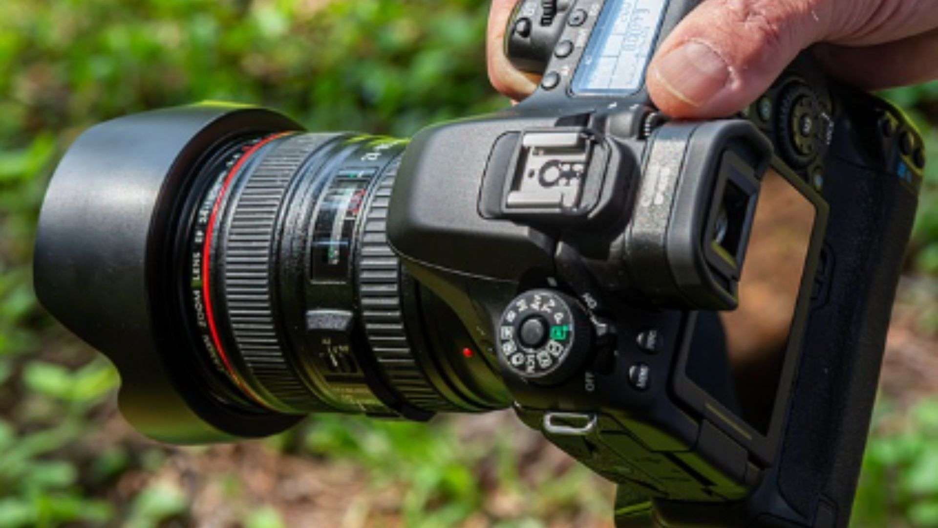 Comparaison appareils photo reflex numériques vs appareils photo sans miroir : avantages et inconvénients