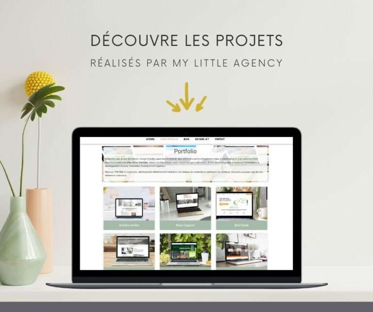 Les projets réalisés par l'agence de SEO My Little Agency