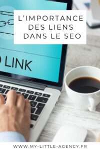 Epingle liens et optimisation SEO